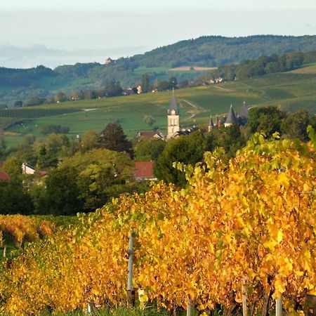 Gite Le Douglas, Vignoble Et Reculees Du Jura - Avec Sauna Lavigny Luaran gambar