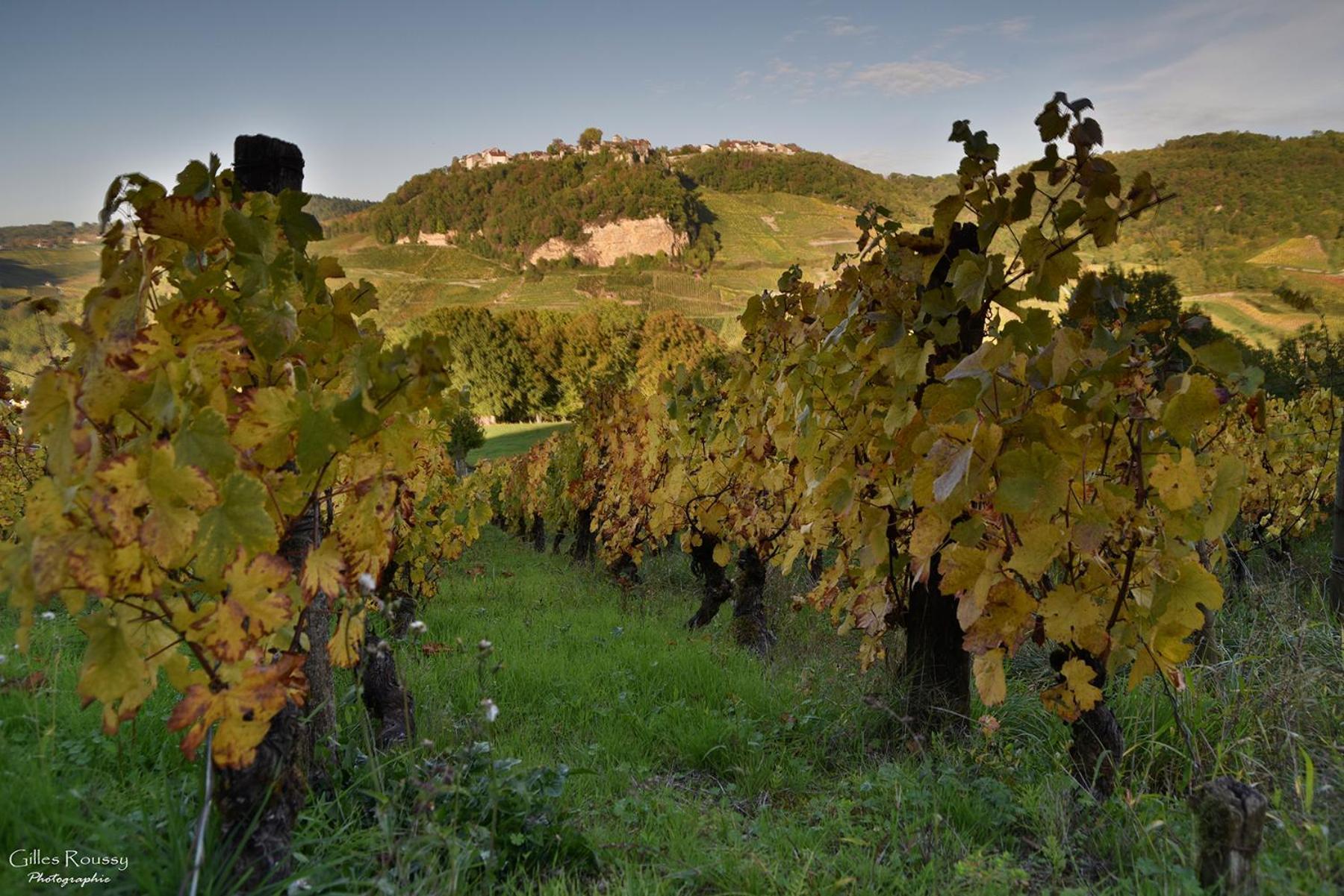 Gite Le Douglas, Vignoble Et Reculees Du Jura - Avec Sauna Lavigny Luaran gambar